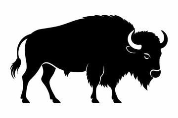 american bison silhouette, bison vector illustration, bison icon
