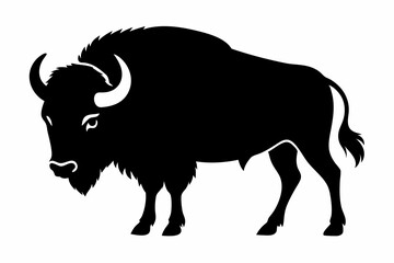 american bison silhouette, bison vector illustration, bison icon
