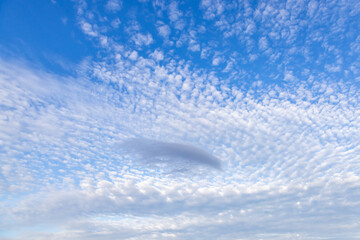 Looking up at pretty clouds and a blue sky