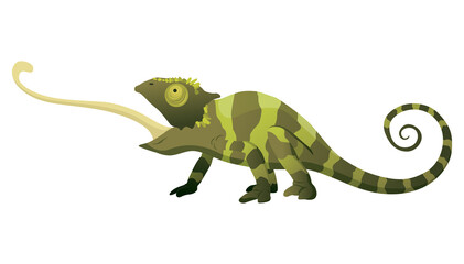 Chameleon lizard. Reptiles with curved tail and camouflage skin, tropical wildlife.  exotic animal illustration