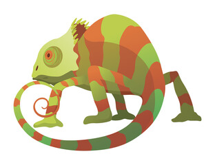 Chameleon lizard. Reptiles with curved tail and camouflage skin, tropical wildlife.  exotic animal illustration