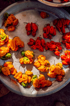 African chillies peppers on a Gambian market