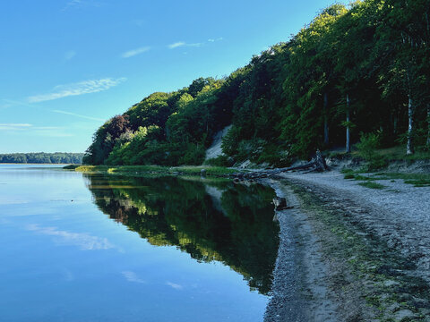 Steilk&uuml;ste im Nationalpark Skjoldungernes Land bei Roskilde