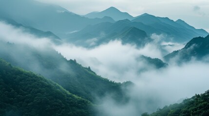Panoramic view of mist-covered mountains, creating a serene and atmospheric natural scene