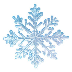 PNG Snowflakes illuminated celebration decoration.