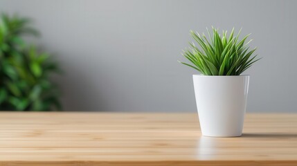 A vibrant green plant in a white pot on a wooden table, enhancing a cozy and inviting indoor ambiance.