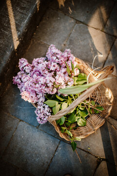 rattan basket with purple lilacs in the garden