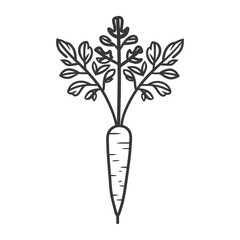 Line Art Illustration of a Carrot with Leaves