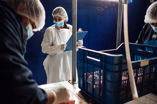 food industry, fish processing plant