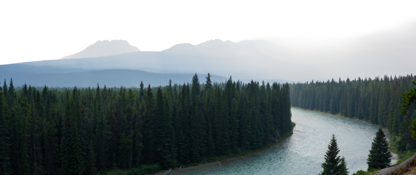 Panoramic view of a large river running through a forest of evergreen trees. The mountains are misty and blue in color. The sky is transparent.
