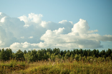 Obraz premium clouds in the sky. cloud background. clouds