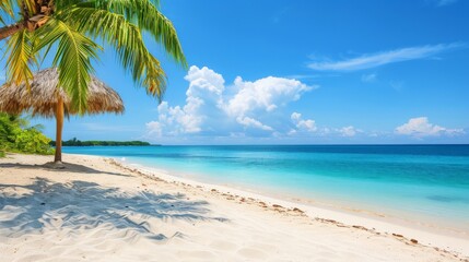 Relaxing day at a tropical beach with palm trees and turquoise waters