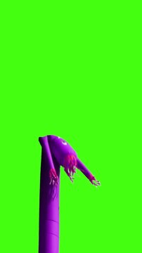 Vertical view of a green screen purple wacky waving inflatable arm flailing tube man.  	