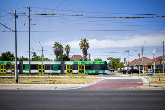 Tram on surburban Melbourne street