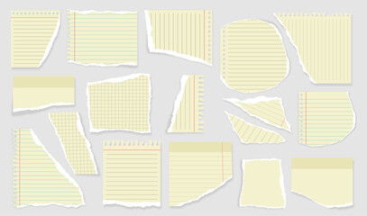 block pages new torn ripped lined and grid paper