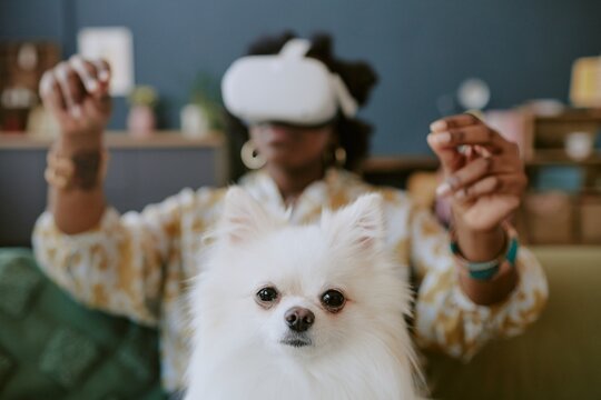 African American woman engaged in virtual reality experiences while small white dog observes foreground, blend of technology and pet companionship