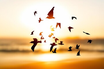 Many dark wild birds flying on sunset sky