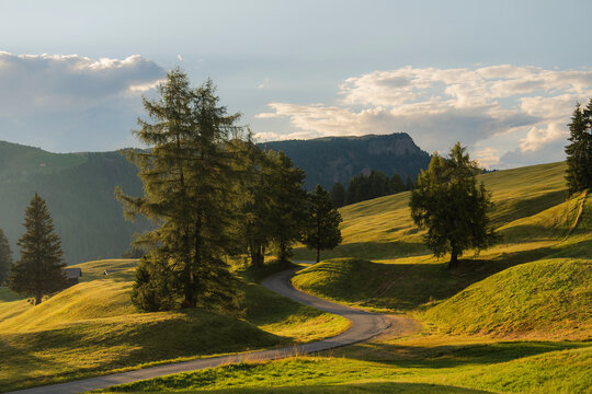 Scenic view of road through forest in Dolomites at sunset 