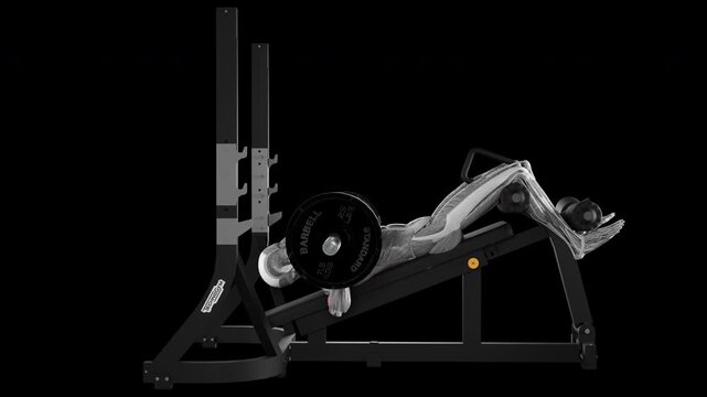 Barbell decline bench press exercise demonstration with muscle identification - side view