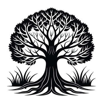 Tree silhouette vector illustration
