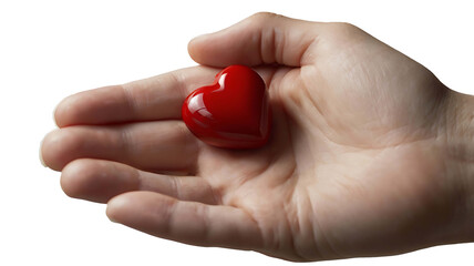 Hands holding heart world organ donation day 2024 transparent isolated background full hd 4k photo image picture png download