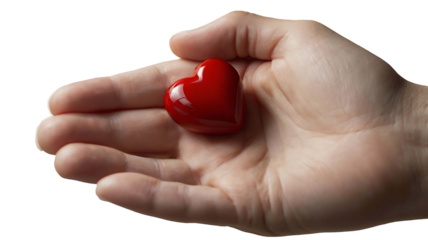 Hands holding heart world organ donation day 2024 transparent isolated background full hd 4k photo image picture png download