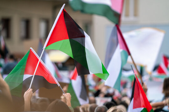 An anonymous crowd holding Palestinian flags