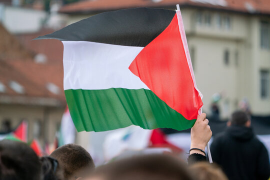 An anonymous crowd holding Palestinian flags