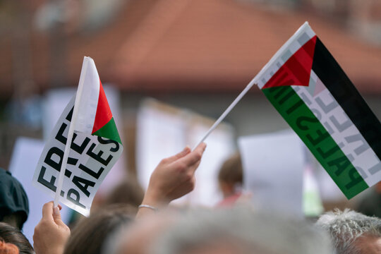 An anonymous crowd holding Palestinian flags