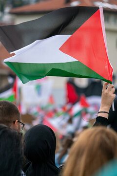 An anonymous crowd holding Palestinian flags