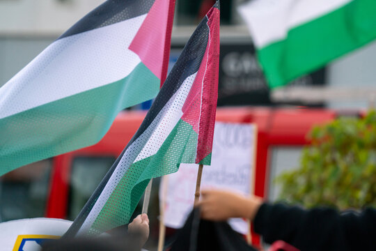 An anonymous crowd holding Palestinian flags