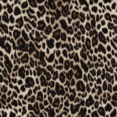 leopard skin fashionable background wild cat texture, print design