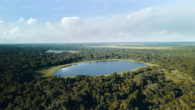 Amazonian lake and forest