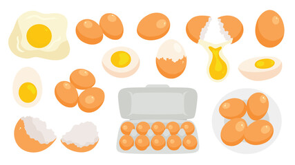 Chicken eggs collection. Raw, boiled, whole and sliced, peeled and broken eggs isolated on white background. Scrambled eggs, omelette, eggshell, egg carton box. Flat Vector illustration