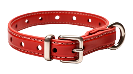 PNG Collar belt white background accessories.
