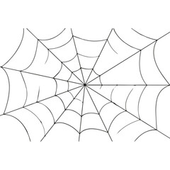 Fototapeta premium Spider Web Background Icon