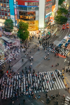 Tokyo crossroad during sunset 