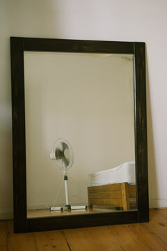 Mirror reflecting pedestal fan
