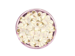 Pile of Water Lily Seeds on ceramic pink plate. White peeled nuts. Heap of raw tasty vegan food. Watercolor illustration of tropical plant. For kitchen inspired designs, cooking blogs, menu