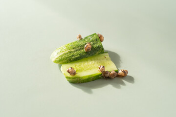 Baby snails Lissachatina fulica or Achatina fulica on a green background