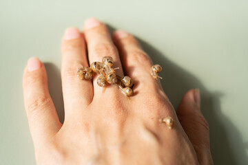 Baby snails Lissachatina fulica or Achatina fulica on a green background