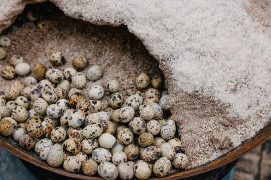 Quail Eggs in a Salt Bed