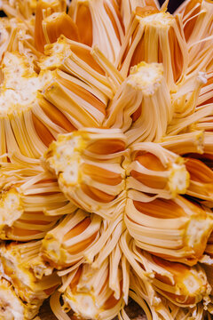 Close-Up of Freshly Harvested Jackfruit