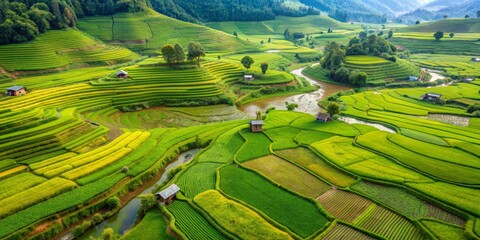 Fototapeta premium Aerial View of Rice Terraces with River and Houses, Vietnam , Rice Terraces, Rice Paddy, Vietnam Landscape