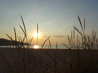 Varna sea and nature in Bulgaria