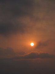 Varna sea and nature in Bulgaria