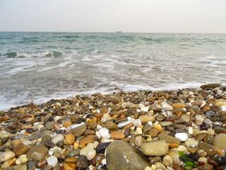 Varna sea and nature in Bulgaria
