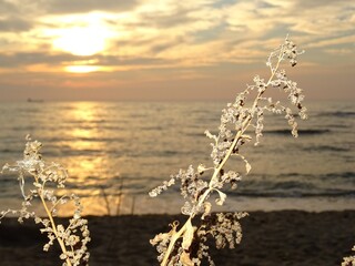 Varna sea and nature in Bulgaria