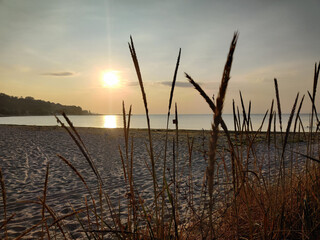 Varna sea and nature in Bulgaria