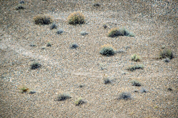 Steppen landscape at peninsula valdes, chubut, argentina